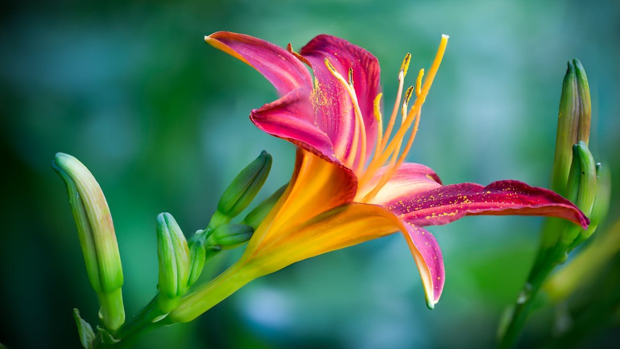 Lessons I Learned From Sitting in Silence Daily